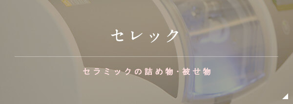 セレック セラミックの詰め物･被せ物